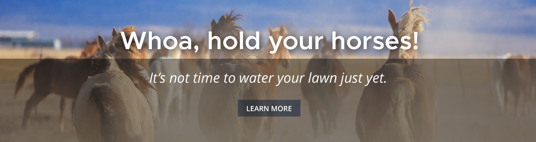 Wait to water horses