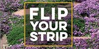 Flip Your Strip