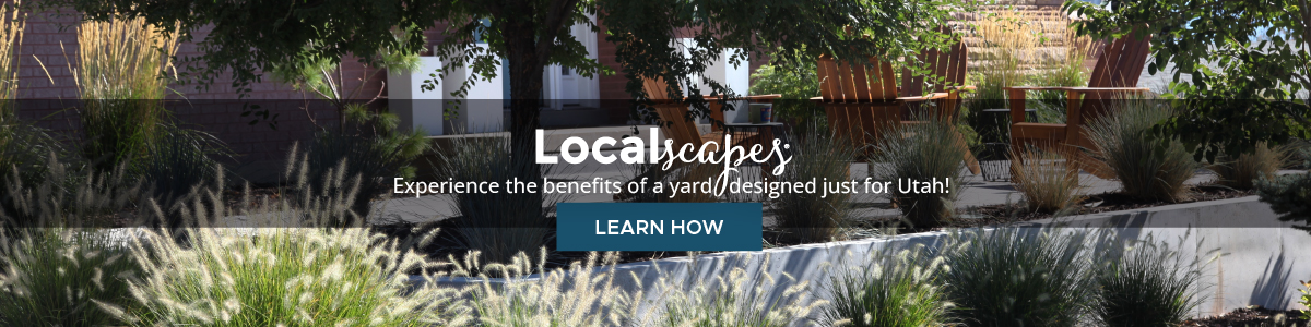 Localscapes