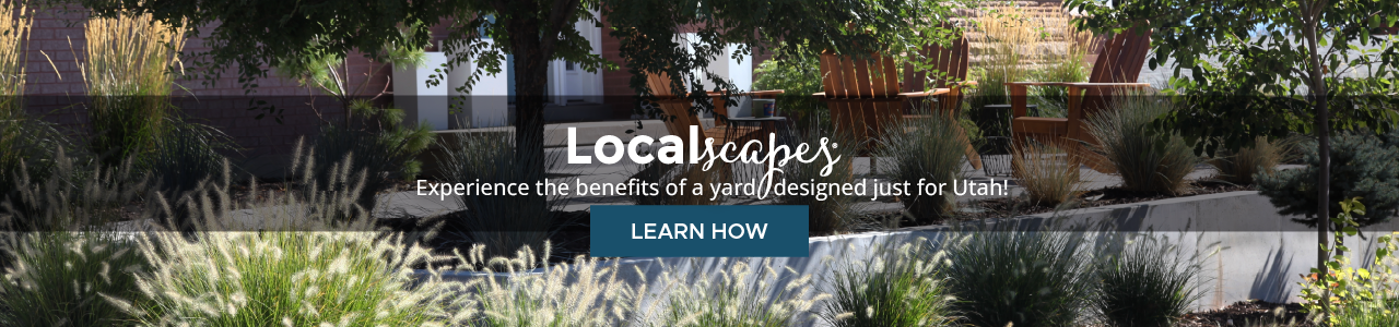 Localscapes